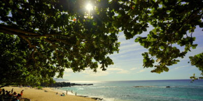 ウォーキングでダイエットしている人は！？