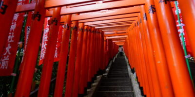 長期的にダイエットをしよう